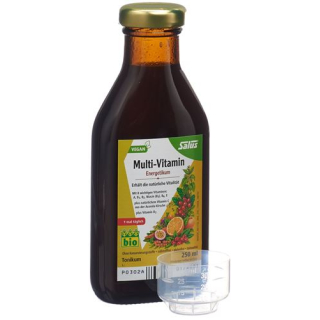 Salus Multi-Vitamin Energetic Organic Bottle 250 ml