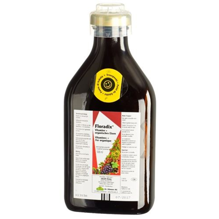 Floradix Jern + Vitaminer Juiceflaske 250 ml