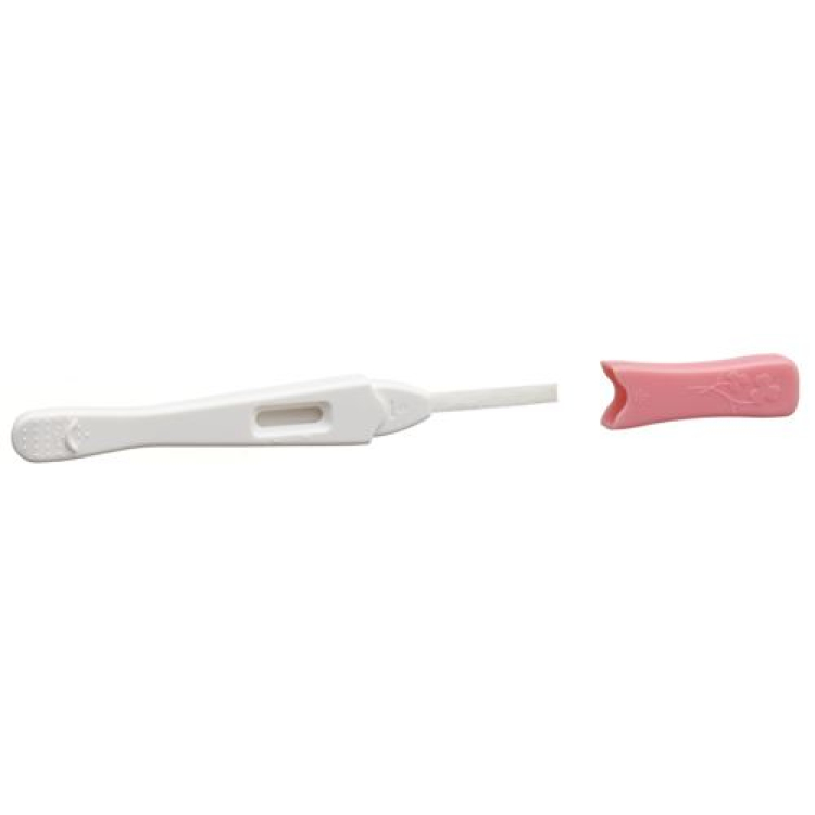 Primeview hCG midstream pregnancy test mini