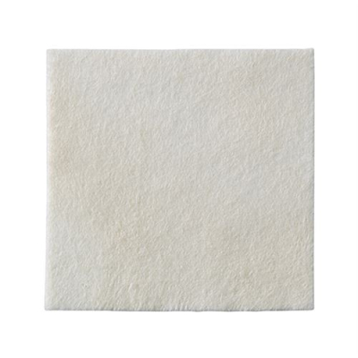 Biatain Ag Alginate 10x10cm 10 ширхэг