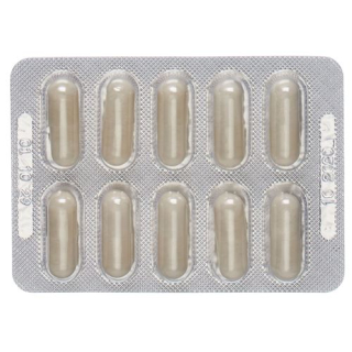 Burgerstein Biotics-A kapslid 30 tk