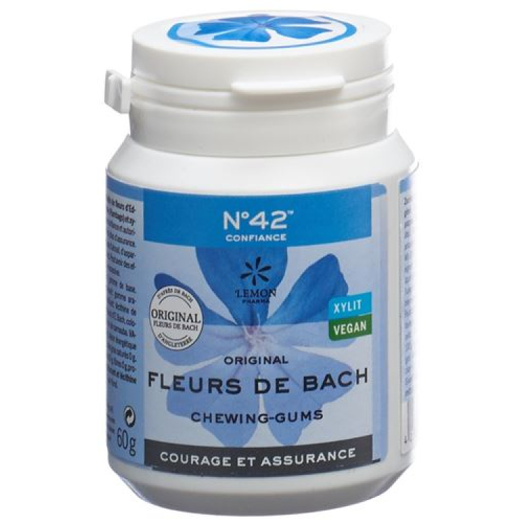 Goma de Mascar Bioligo Dr Bach Autoconfiança Ds 60 g