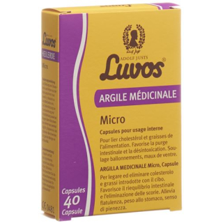 Luvos Healing Earth Micro Capsules Blist 40 stk