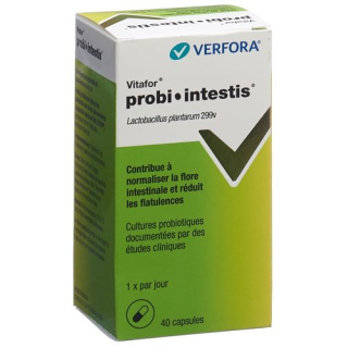 Vitafor probi-intestis Cape 40 unid.