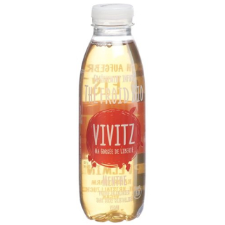 VIVITZ Органический чай со льдом яблоко и мята 6 x 0,5 л