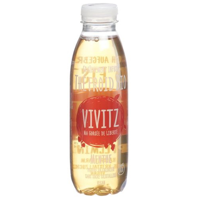 VIVITZ bio ľadový čaj jablko mäta 6 x 0,5 l