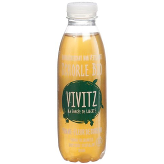 VIVITZ organic spritzer apple elderflower 6 x 0.5 lt