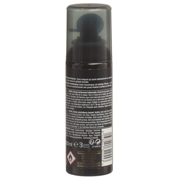 Retouche Racines Schwarz 120 ml