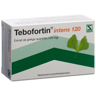 Tebofortin intens 120 Filmtabl 120 mg 90 uds
