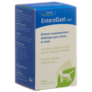 EnteroGast acutely tablets Ds 21 pcs