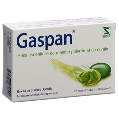 Gaspan Kaps enteric-coated 42 pcs