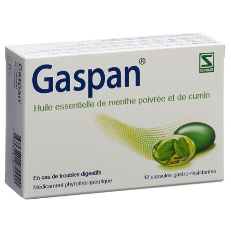 Gaspan Kaps enteric 42 កុំព្យូទ័រ