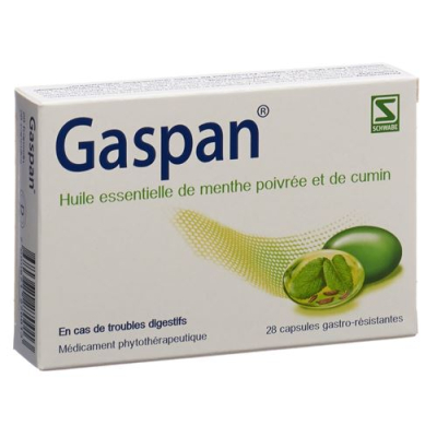 Gaspan Kaps enteric-coated 28 pcs