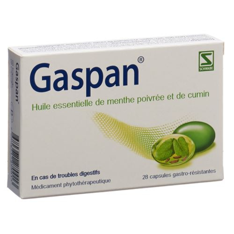 Gaspan Kaps enteric-coated 28 pcs