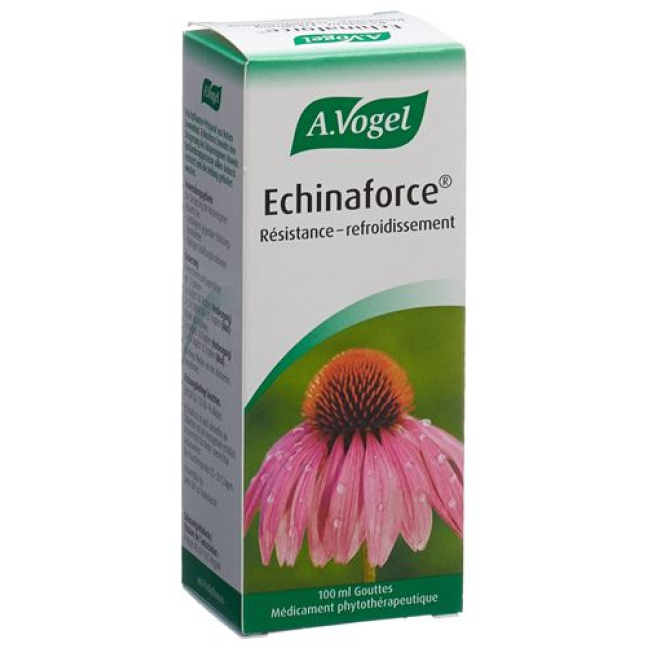 A.Vogel Echinaforce kháng giọt lạnh Fl 100 ml