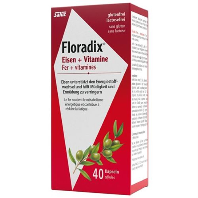 Floradix რკინის + ვიტამინის კაფსულები 40 ც