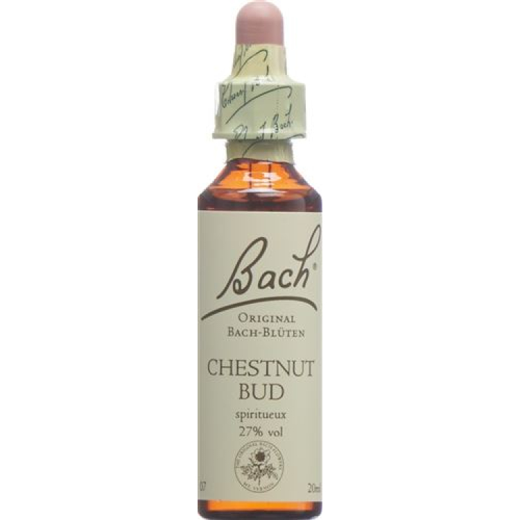 Original Bach Flower Chestnut Bud No07 20ml