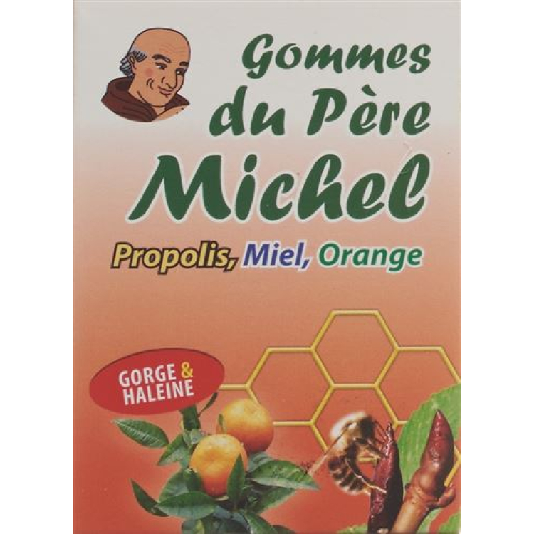 Bioligo Gommes du Pere Michel Sinaasappel Ds 45 g