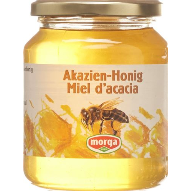 Morga miel d'acacia étranger verre 500 g