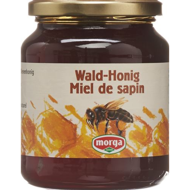 Morga forest honey abroad jar 500 g