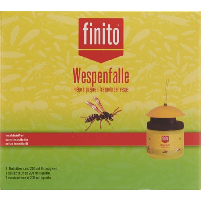 Finito wasp trap