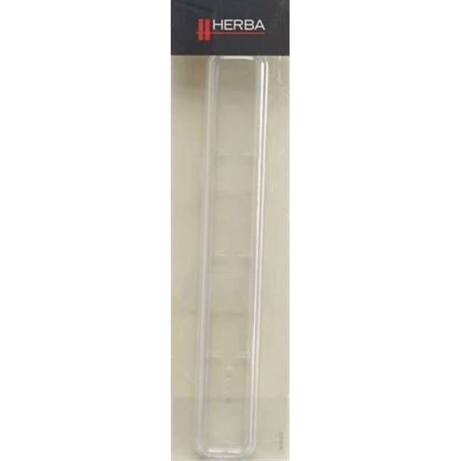 Herba Toothbrush Quiver Transparent with Silver Edge