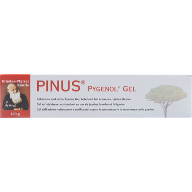 Pinus Pygenol gelis Tb 100 g