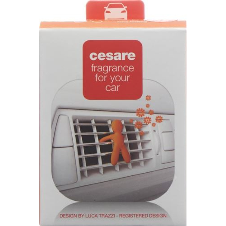 Joy Scented Man Car Cesare Orange Energy