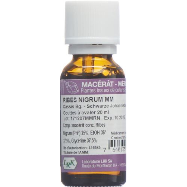 LRK Mother Macerate Blackcurrant Titisan 20 ml