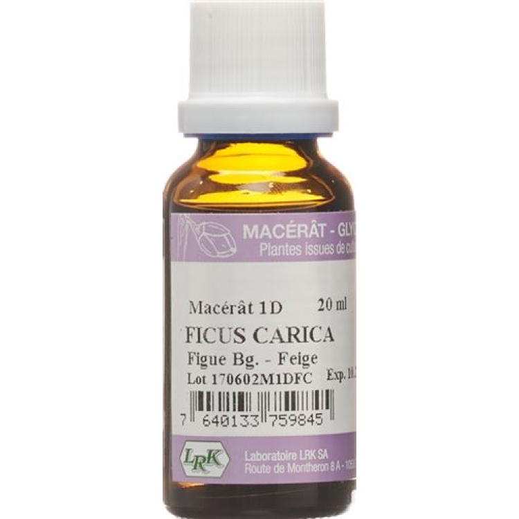 LRK madre macerado higo gotas D 1 20 ml