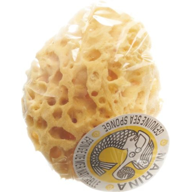 MARINA natural sponge Venise 14cm