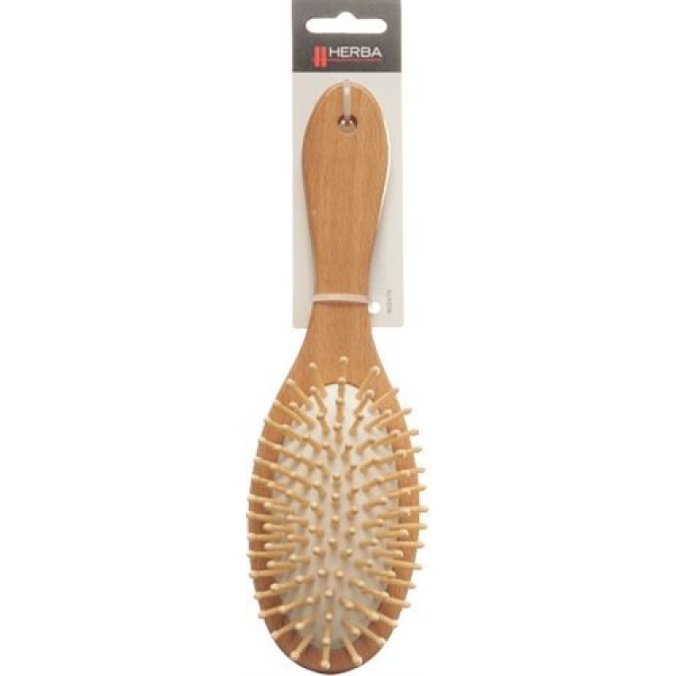 Herba hairbrush ឈើរាងពងក្រពើធំ