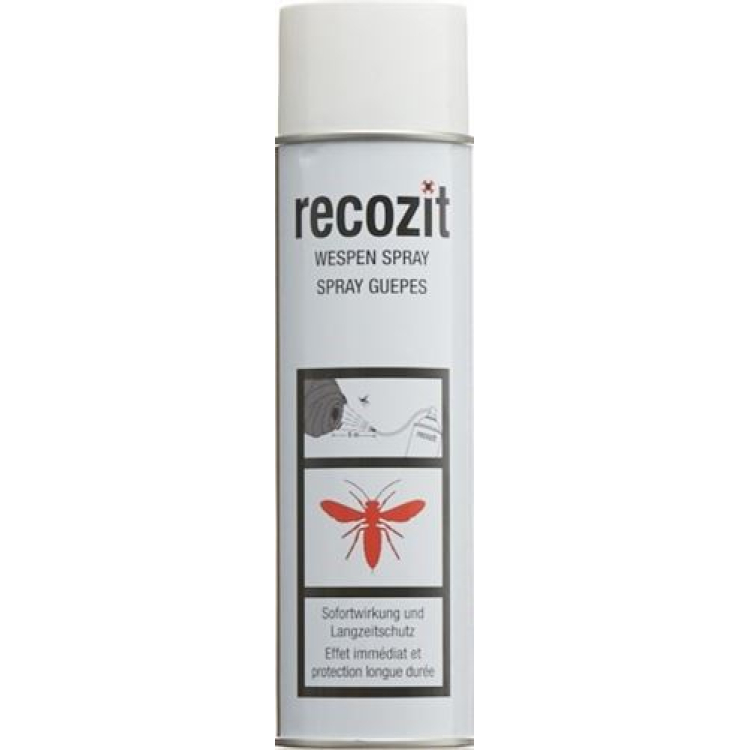 Recozit arı spreyi 500 ml