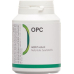 திராட்சை விதைகளிலிருந்து BIOnaturis OPC கேப்ஸ் 100 mg 120 pcs