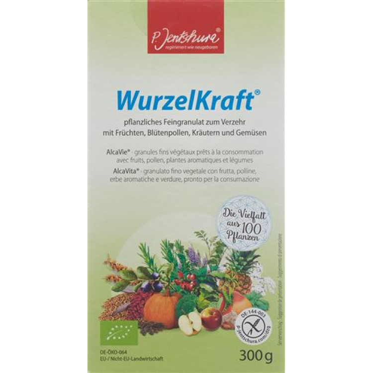 Дрібні гранули Jentschura WurzelKraft Bio 300 г