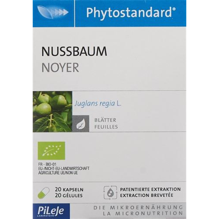 Phytostandard Orzech Kapsułki Bio 20szt