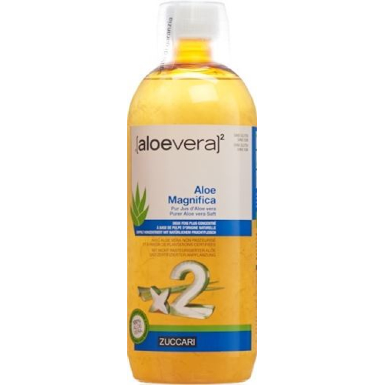 ZUCCARI Aloe magnifica Fl 1 lt