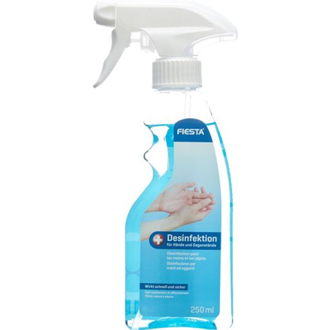 FIESTA disinfectant for hands and objects Fl 250 ml