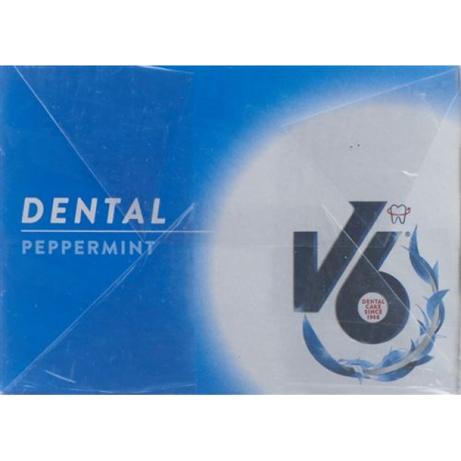 V6 Dental Care Жевательная резинка с мятой, 24 шт., коробка