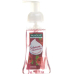 Palmolive υγρό σαπούνι αφρός raspberry 250 ml