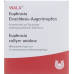 Wala Euphrasia Gd Opht 15 Monodos 0,5 ml