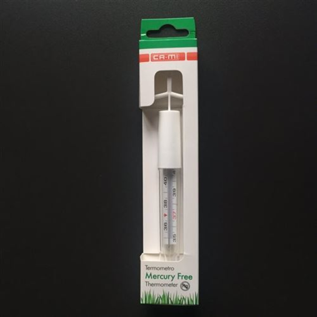Buy T-FLAP Thermometer Mercury Free Online from Beeovita