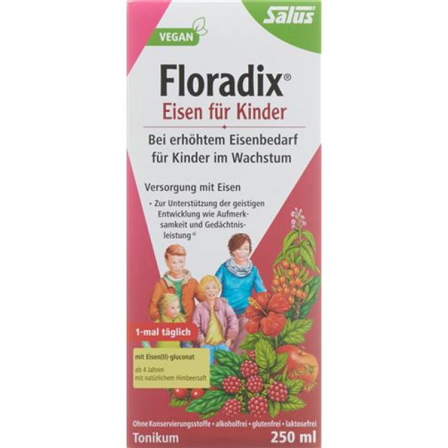 Floradix Iron for Children Juice Bottle 250 ml