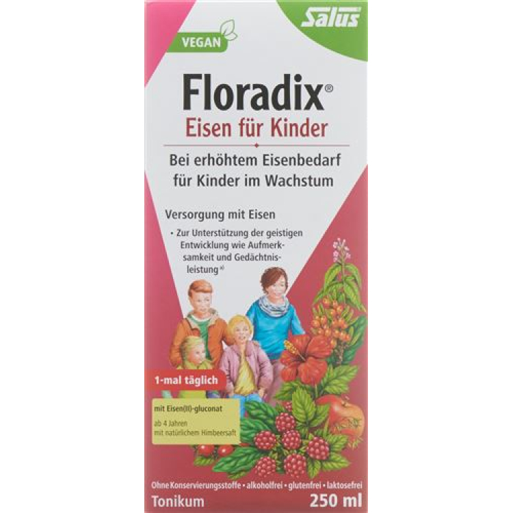 Floradix Iron for Children Juice Bottle 250 ml