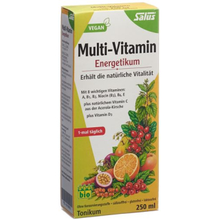 Salus Multi-Vitamin Energetikum Bio Fl 250 ml