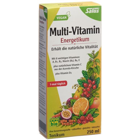 Salus Multi-Vitamin Energetikum Bio Fl 250 ml