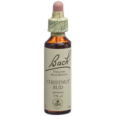 ដើម bach flower chestnut bud no07 ចំណុះ 20ml