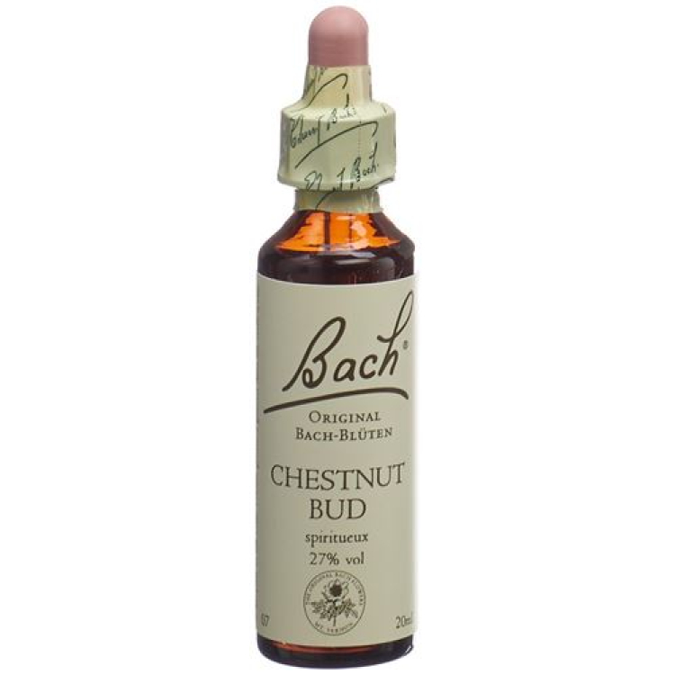 Օրիգինալ Bach Flower Chestnut Bud No07 20ml