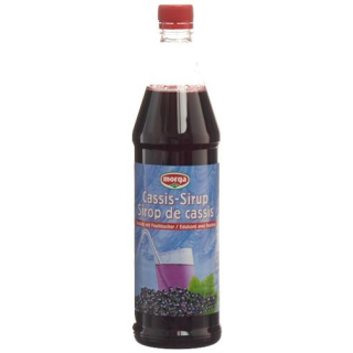 MORGA Cassis syrup with fructose Petfl 7.5 dl
