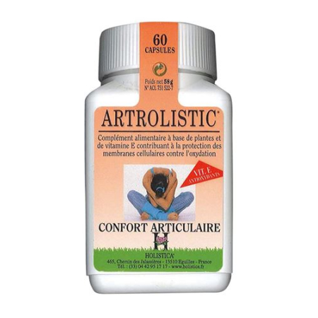 HOLISTICA Artrolistic capsules 60 pcs